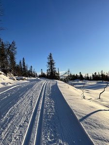 IMG_4003.jpeg