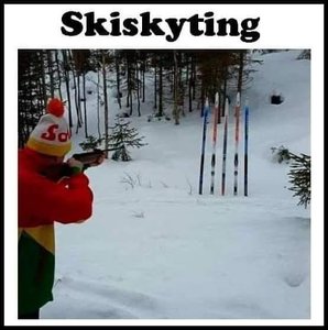 Skiskyting.jpg