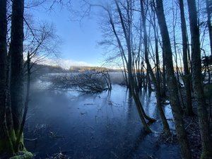 IMG_2520.jpeg