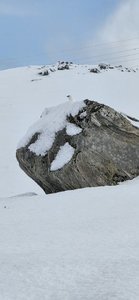 20250309_104053.jpg