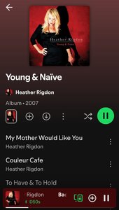 Screenshot_20250312_171513_Spotify.jpg