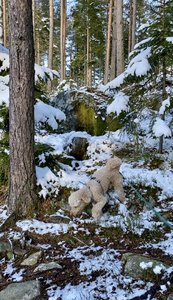 IMG_3233.jpeg