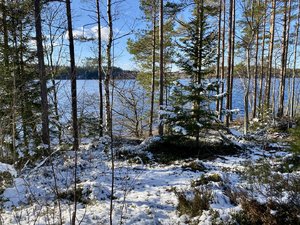 IMG_3235.jpeg