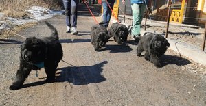 IMG_20250323_232149.jpg