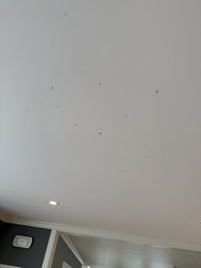 IMG_2478.jpeg