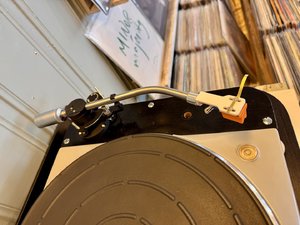 IMG_2157.jpeg