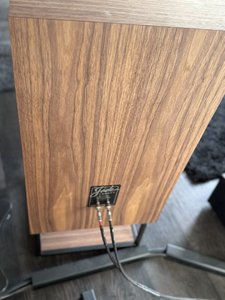 IMG_8100.jpeg