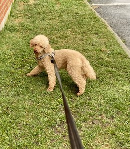 IMG_3509.jpeg