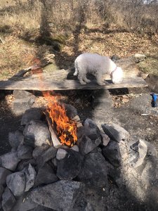 IMG_9366.jpeg