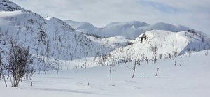 20250405_104225.jpg