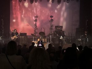 IMG_6294.jpeg