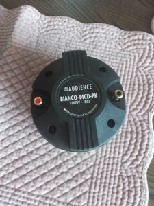 20250408_133950.jpg