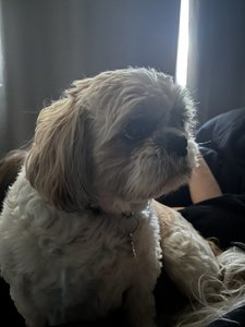 IMG_0987.jpeg