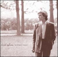 David Sylvian_ Brilliant Trees.jpg