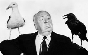 hitchcock-fuglene-.jpg