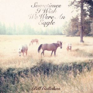 Sometimes_I_Wish_We_Were_an_Eagle-Bill_Callahan_480.jpg