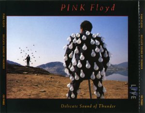 pink-floyd-delicate-sound-of-thunder-music-front-cover-5859.jpg