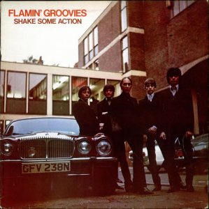 Flamin-Groovies-Shake-Some-Action-516262.jpg