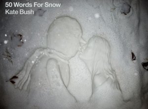 158031-kate-bush-50-words-for-snow.jpg