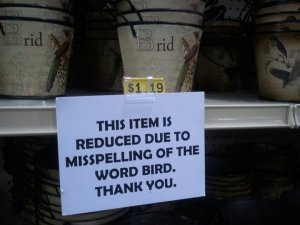 brid.jpg