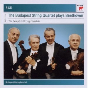 budapest beethoven.jpg