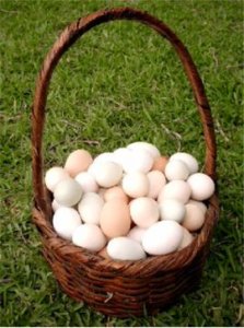 eggs-basket.jpg