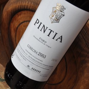 pintia 2003.jpg