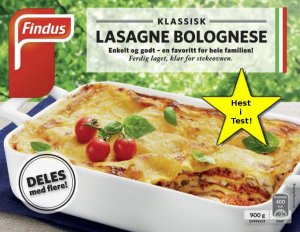 lasagne.jpg