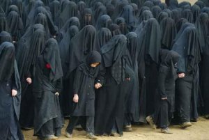 Burka-Niqab-bizarre-48719316607.jpeg