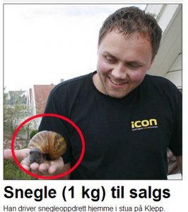 snegle.JPG