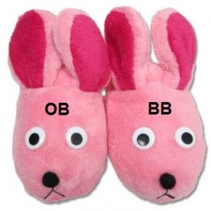 obbb slippers 1.jpg