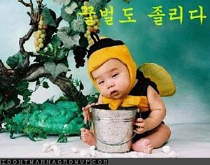 asian-bumblebee-costume-baby-funny-fail-photo.jpg