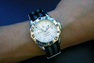 472893d1310806508-review-omega-seamaster-professional-gmt-300m-great-white-2538-20-00-009sm.jpg