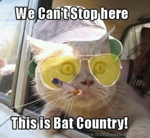 We-cant-stop-here-this-is-bat-country-cat-meme_thumb_thumb.jpg