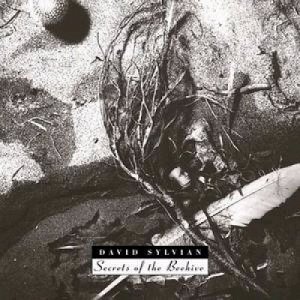 David-Sylvian-Secrets-Of-The-Be-359787.jpg