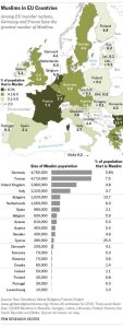 FT_15.01.14_MuslimPopulation420px.jpg