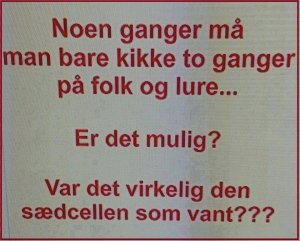 Den som vant.jpg