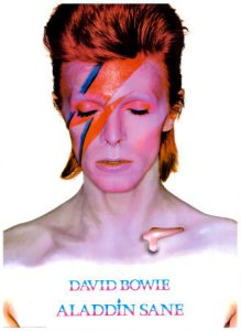 David-Bowie---Aladdin-Sane-Poster-C10034689.jpeg