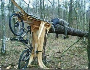 MTB gone wrong.jpg