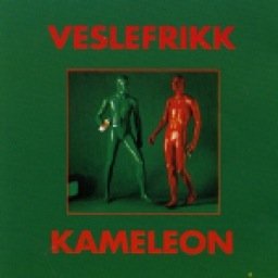 kameleon.jpg