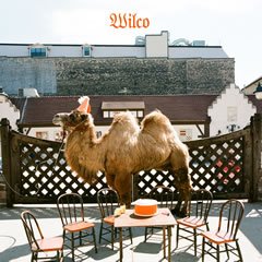 wilco_album_240.jpg