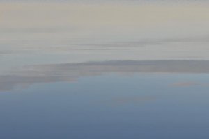 DSC_7071.jpg