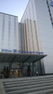 Hilton 1 (Large).jpg