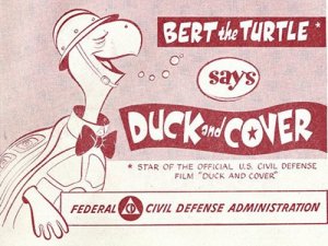 duck_cover_turtle_zpsf667bbe5.jpg