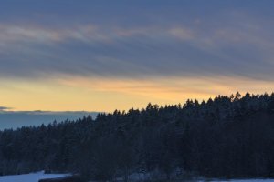 DSC_7558.jpg