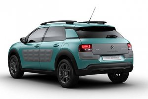 Citroen-cactus.jpg