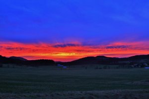 _MG_9629.jpg