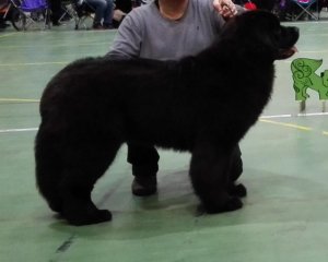 IMG_20160305_102743.jpg