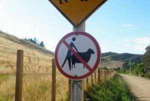 Challenging Road Signs11.jpg