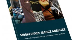 Moskeernes mange ansigter.jpg